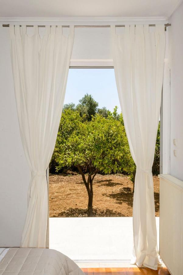 Naftilos Blue View Retreat Avía Exteriér fotografie