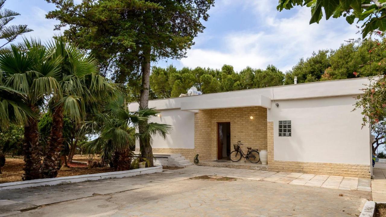 Naftilos Blue View Retreat Avía Exteriér fotografie